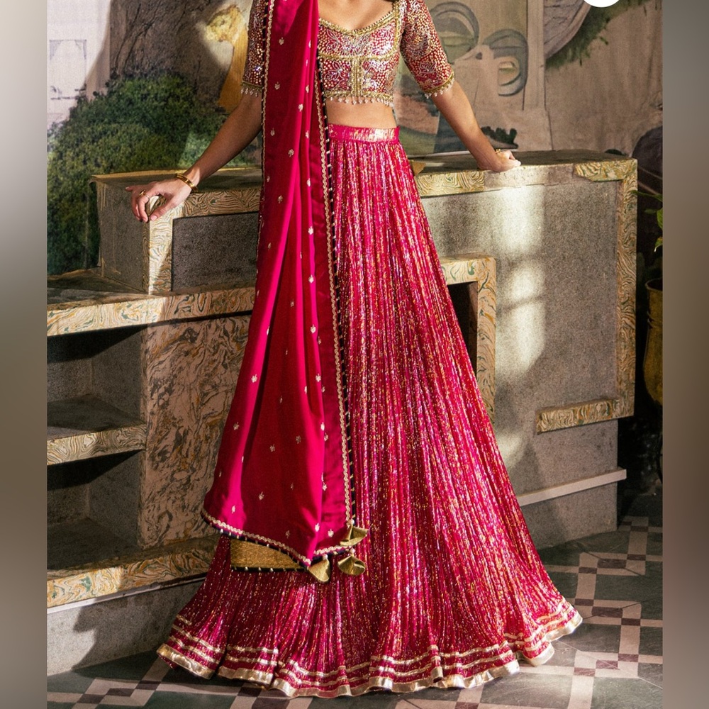 Elegant Pink Embellished Skirt